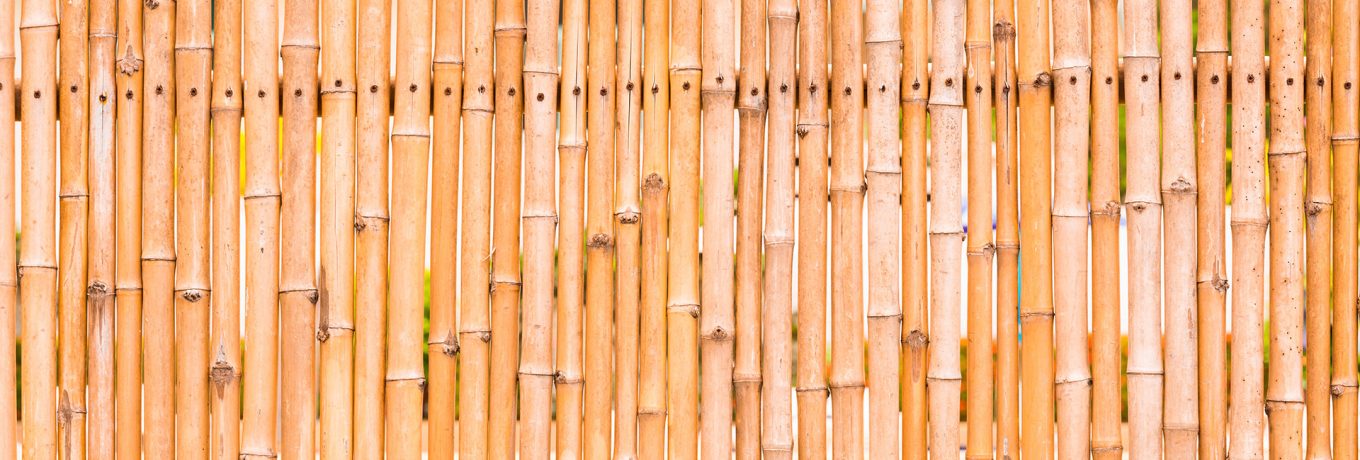 brindes bambu brindiberica